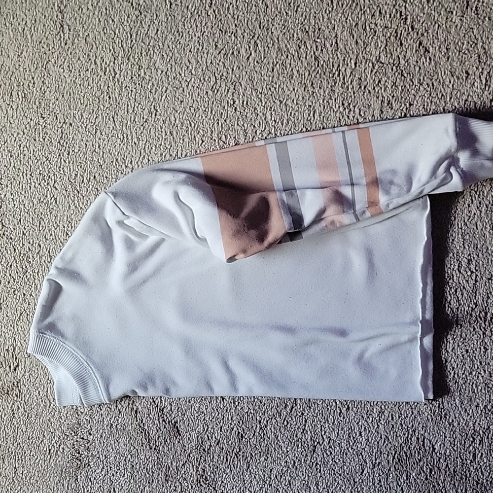 American Eagle sweatshirt